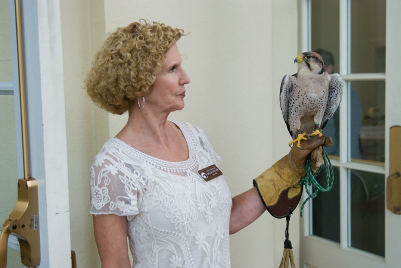 Billie Snyder with a lanner falcon