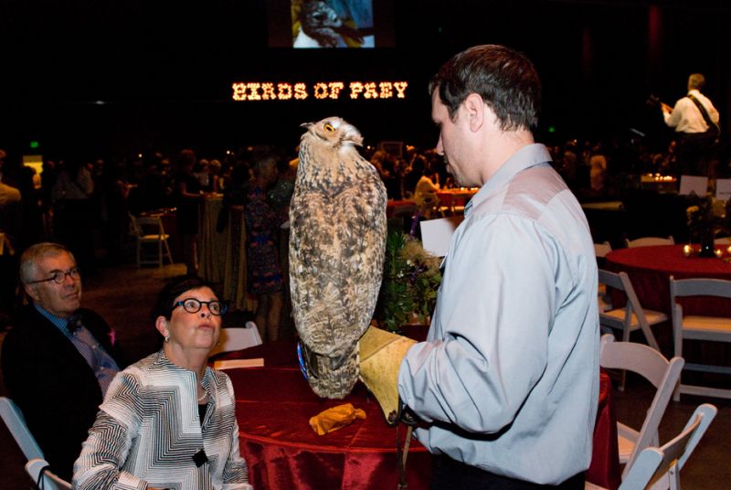 A volunteer speaks with guests about the great horned owl
