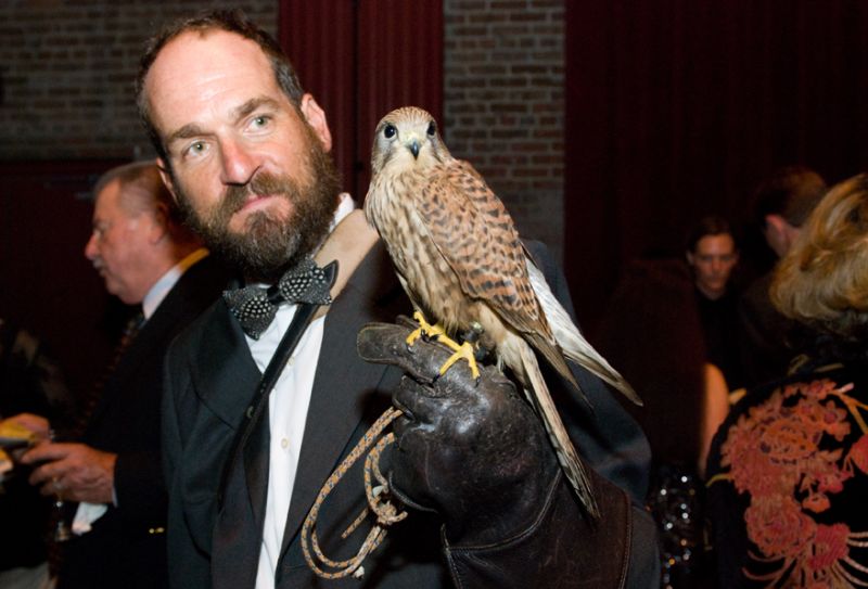 Stephen Schabel with a Eurasian kestrel falcon