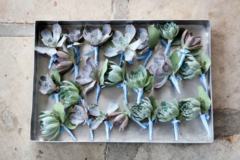 FLOWER MAN: Succulent boutonnieres from stems were pinned to the men’s poplin suits from M. Dumas &amp; Sons.