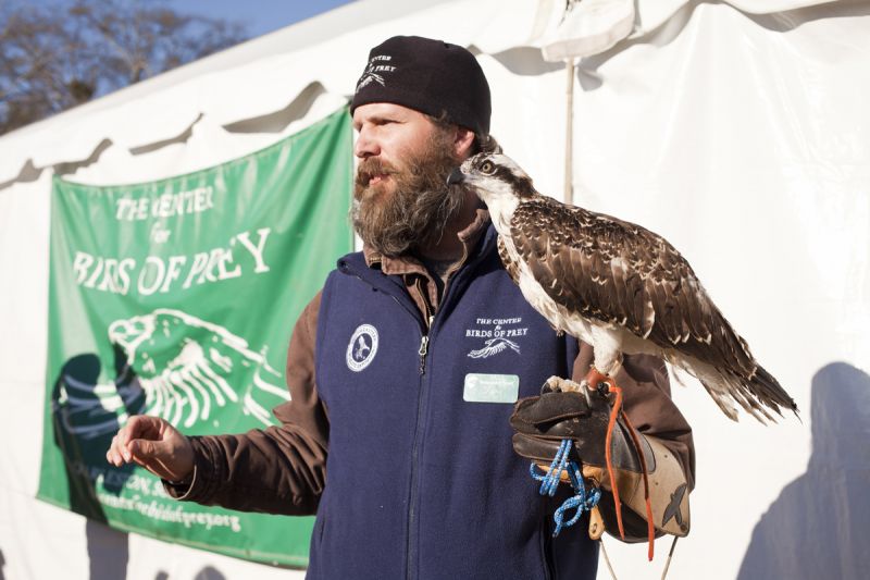 The Center for Birds of Prey had a variety of birds for SEWE goers to see. Here is Lance Doll with an Osprey.