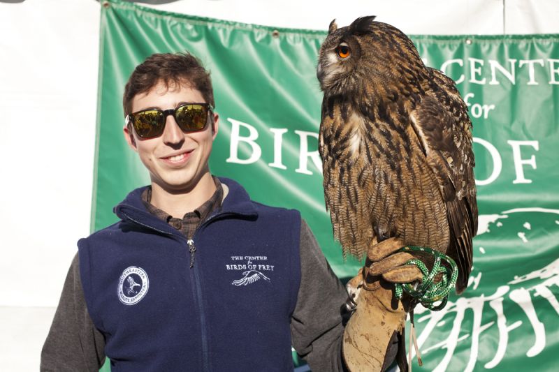 Daniel Brown with a Eurasian Eagle Owl
