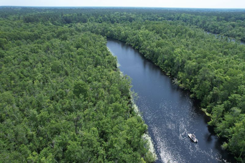 Exploring Mingo Creek, about 30 miles north of Georgetown.