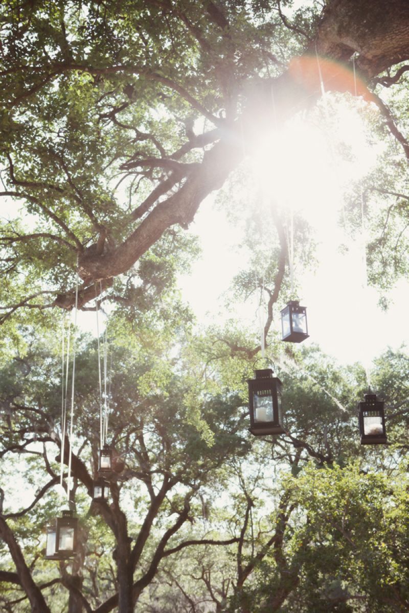TREE LIGHT: A nice touch for a couple who loves camping, lanterns strung from the tree branches and gave off a shimmering light once the sun set.
