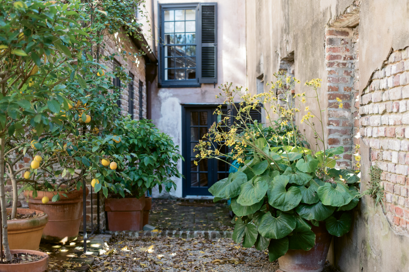 HAVE YOUR GARDEN &amp; EAT IT, TOO: The courtyard garden features citrus trees, such as lemon and tangerine, as well as beehives that yield some 70 pounds of honey per year.