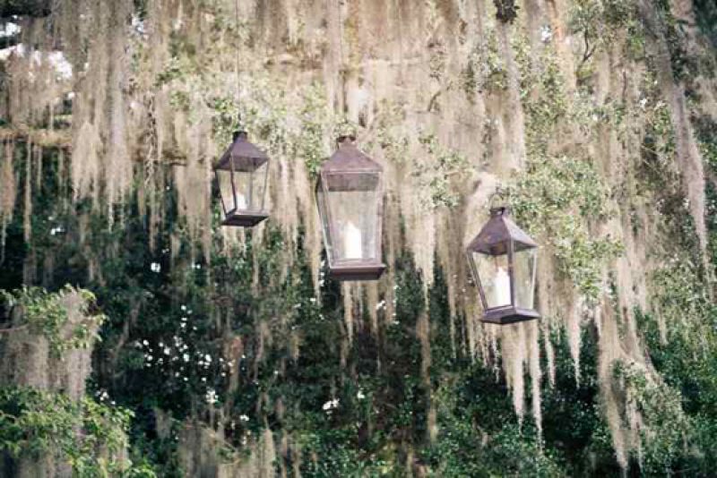 HANGING OUT: Lanterns from Loluma dangled from the venue’s giant oaks.