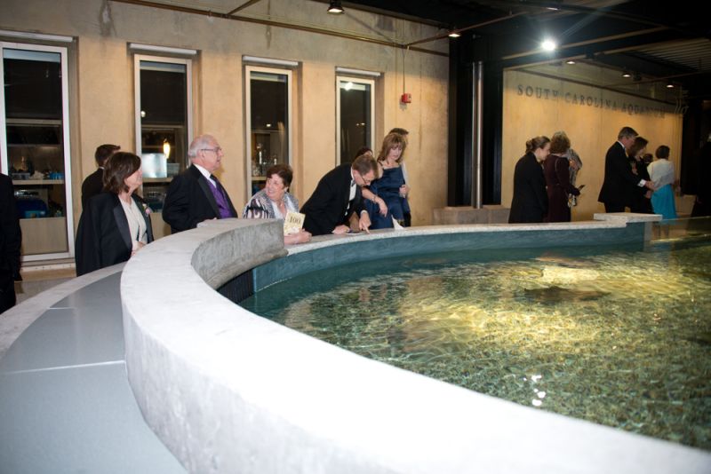 Guests enjoyed the new Shark Shallows exhibit which allows visitors to get up close and personal with the creatures.