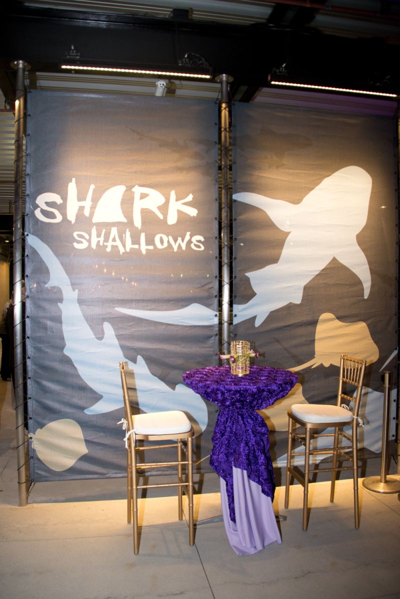 Tables were arranged around the Shark Shallows exhibit for guests to linger.
