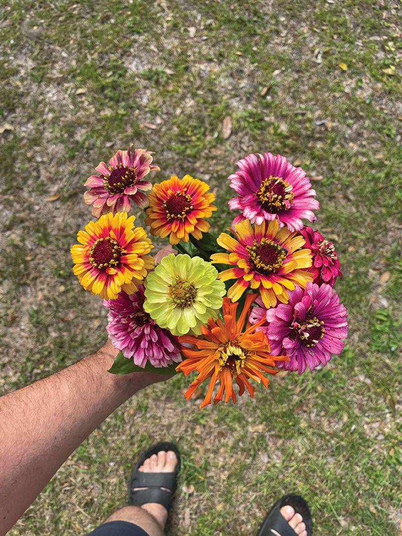 Blooming Great: “I started growing flowers at home. There’s nothing better than cutting fresh flowers from your backyard.”