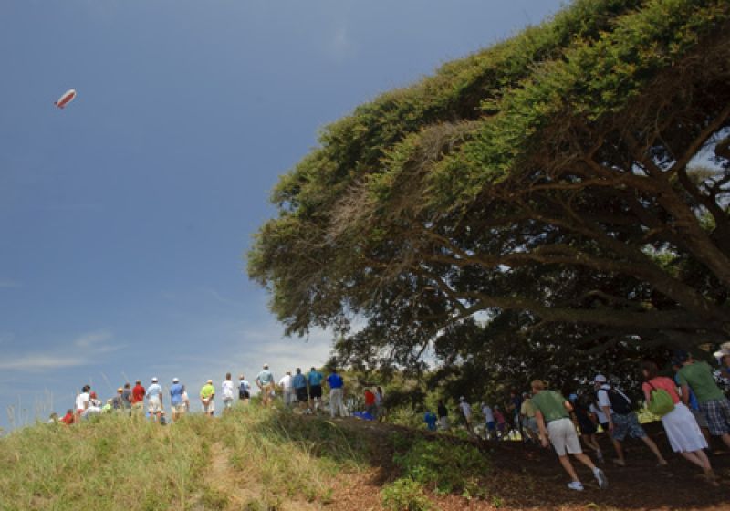 Crowds huddled under the oaks for shade and on top of the dunes to catch the action on the 9th green.