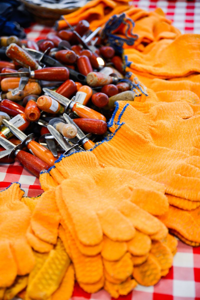 Proper equipment for oyster shucking was provided.