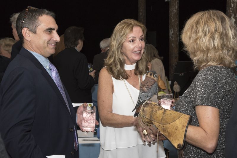 Kathie Davidson enlightens guests about the American kestrel