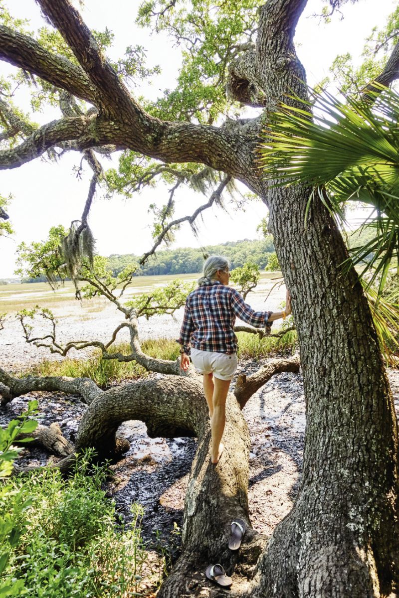 Edisto Island