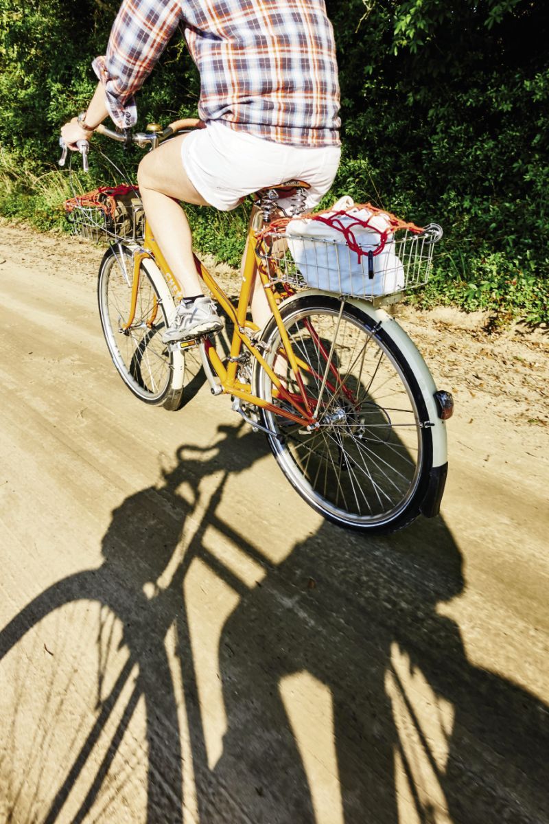 Edisto Island: The final miles of Highway 174 are well-marked for cyclists; one of the oak-shaded campsites at Edisto Beach State Park; pedaling here offers views of tidal creeks on a mix of paved and sandy roads and paths in the maritime forest.