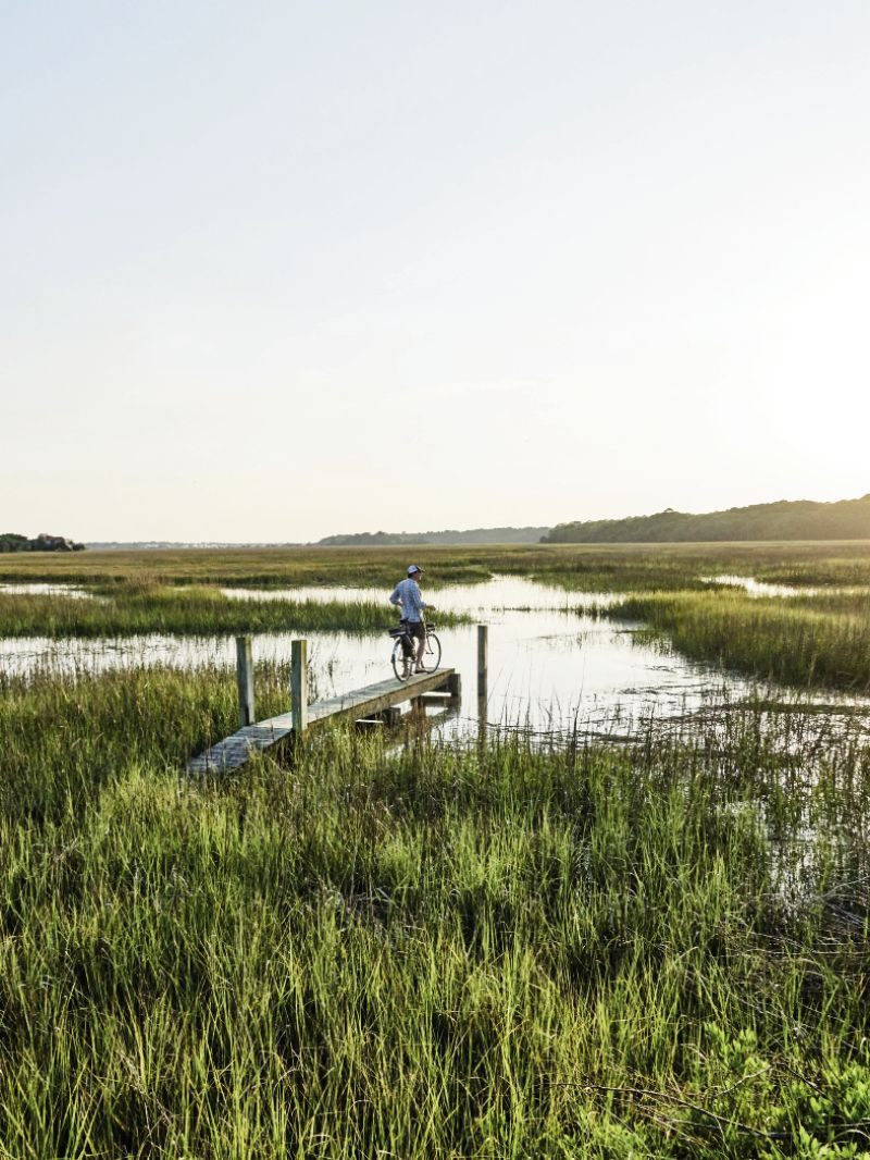 Edisto Island