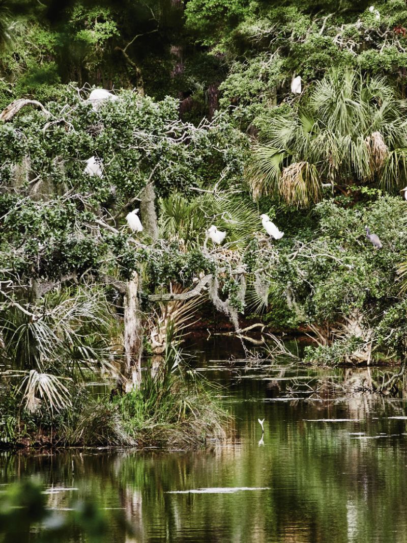 Hunting Island State Park