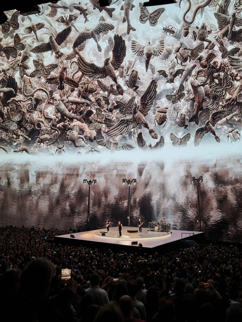Images of animals of the American West swirl over legendary rock band U2 in an immersive musical and visual experience. The band played 45 shows in the opening months of the Sphere.