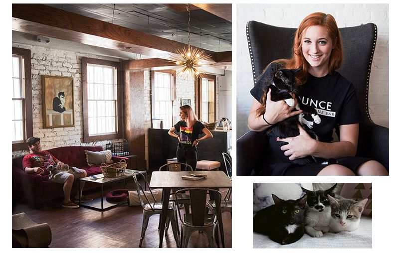 Charleston — Pounce Cat Cafe