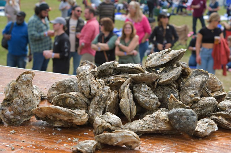 Revelers made their way to Boone Hall Plantation Plantation &amp; Gardens for the Lowcountry Oyster Festival, consuming 45,000 pounds of steamed oysters.
