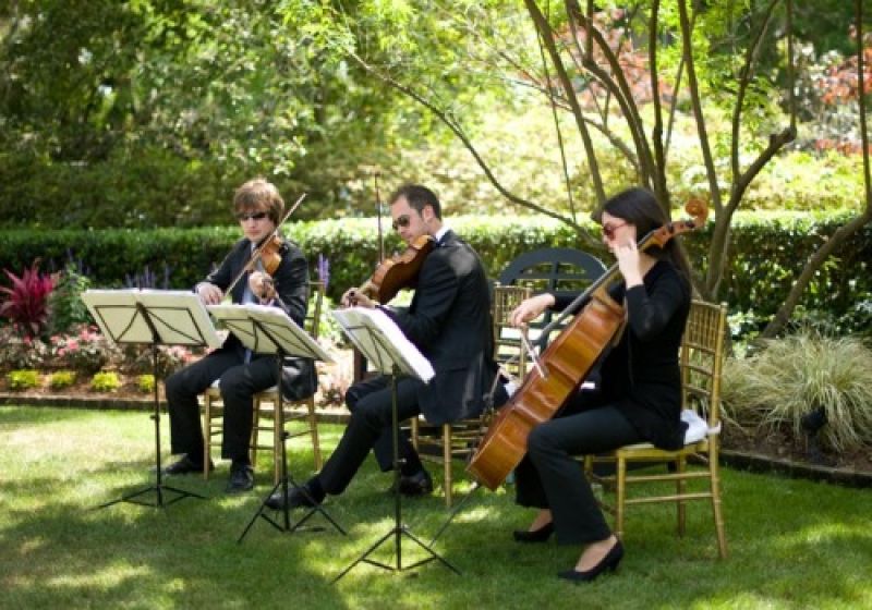 A string quartet adds a classical soundtrack to the afternoon