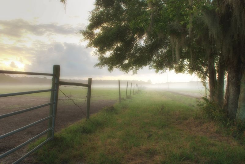 Sand Creek Farm, a conservation easement with habitats that include salt marsh, maritime forest, and bottomland hardwood forest, plays host to EIOLT’s annual oyster roast fundraiser, held every November.