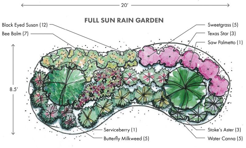 rain garden design