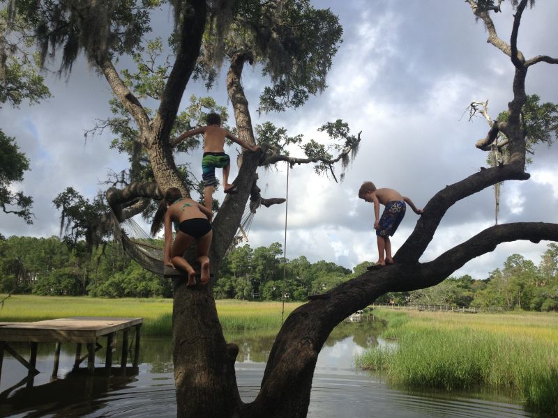 FINALIST Amateur category: The Giving Tree by Julia Shealy; “This old tree provided much adventure and fun for kids in my neighborhood.  They build rope swings, hammocks, and used it as a diving board to plunge into the creek below.”