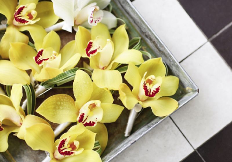 WILD FLOWERS: Groomsmen donned lemon-yellow orchids that matched the bridesmaids’ bouquets.