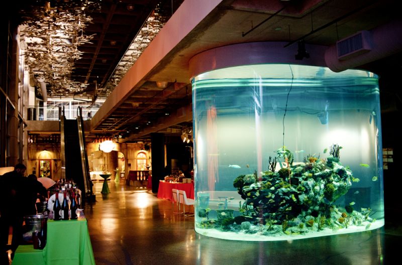The aquarium is ready for the guests to come in