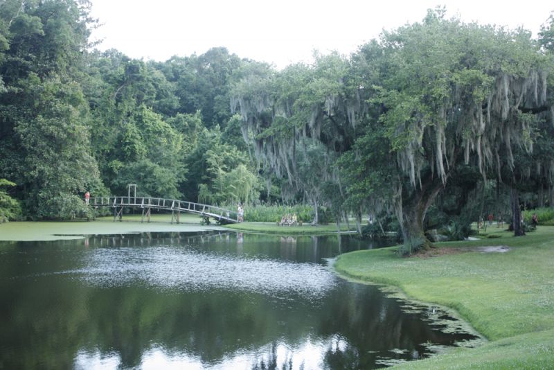Guests spent time exploring the grounds of Middleton Place, home of America&#039;s oldest landscaped gardens.