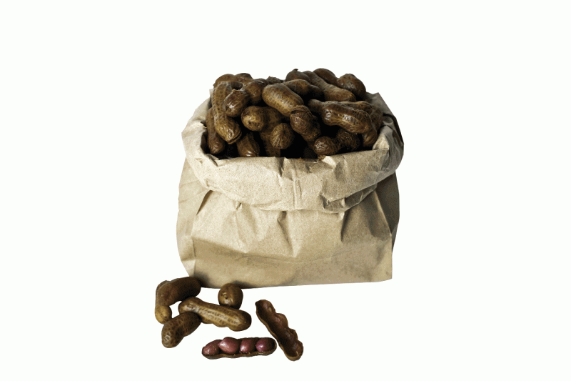 Lee Bros. Boiled Peanuts the state snack safe to ship, $33 for 5 lbs.; boiledpeanuts.com