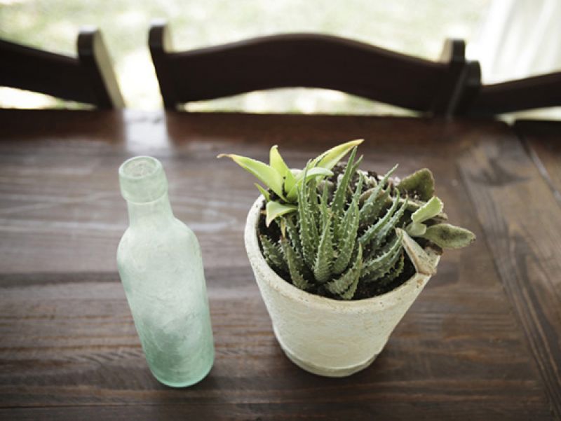 CLASSIC TRIMMINGS: Cloudy tincture bottles and succulent arrangements dressed up the wooden tables with organic charm.