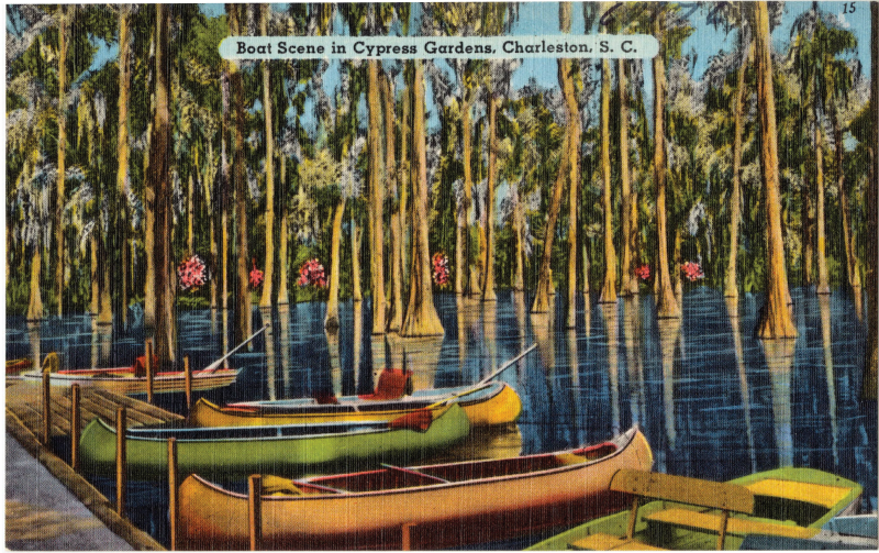 Boat Scene in Cypress Gardens: “23 miles north from Charleston are the Cypress Gardens of Dean Hall, a breathtakingly beautiful and most unique water garden. A canoe ride under the swaying moss hung tree is a delightful experience.”