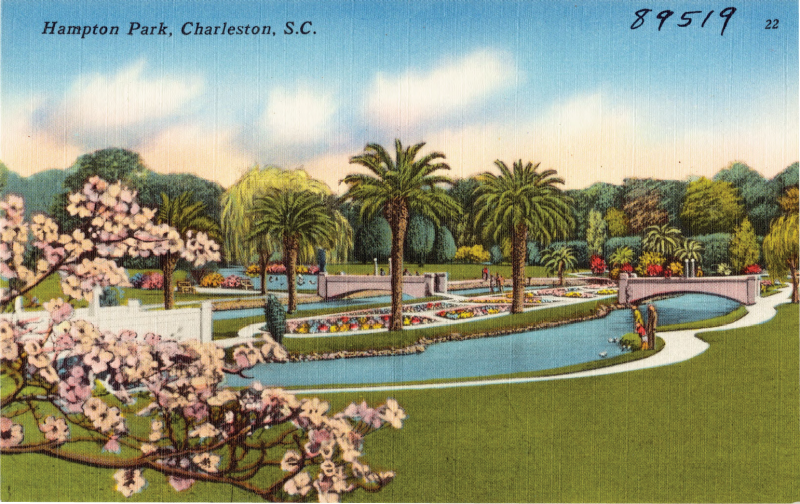 Hampton Park: “This is a charming spot in Charleston’s Hampton Park, one of the 20 lovely parks within the city limits.”