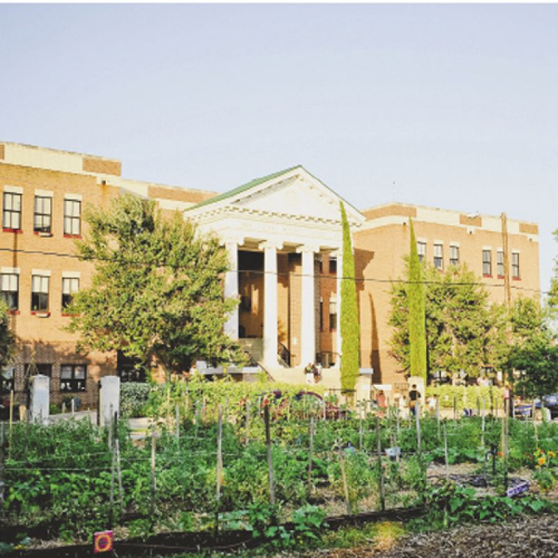 The Green Heart Project at Mitchell Elementary