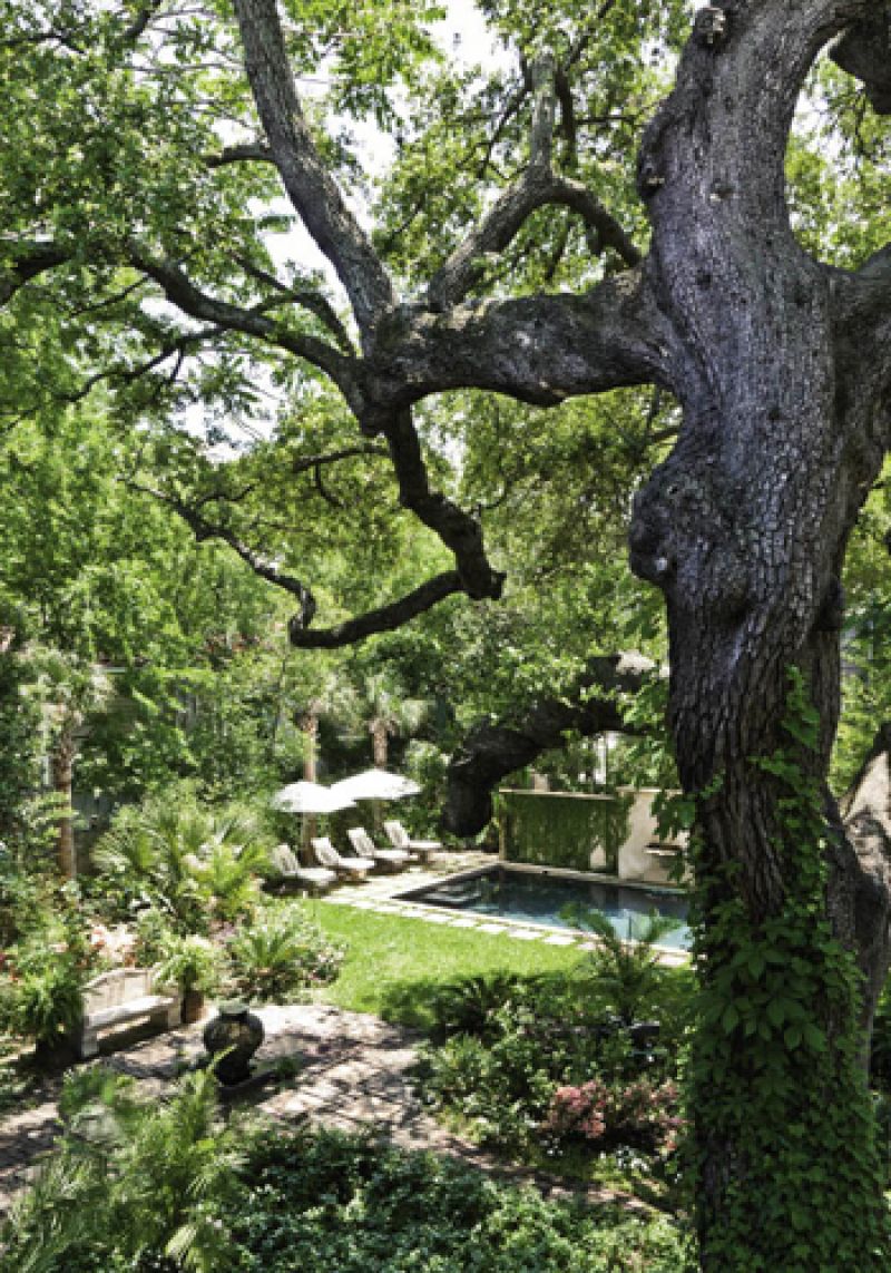 Among the most extraordinary features of the antebellum beauty Gerald and Juan (top right) call home are the deep setback from the street and unusually large yard, elements that create a most dramatic presentation for this gracious Charleston single house.