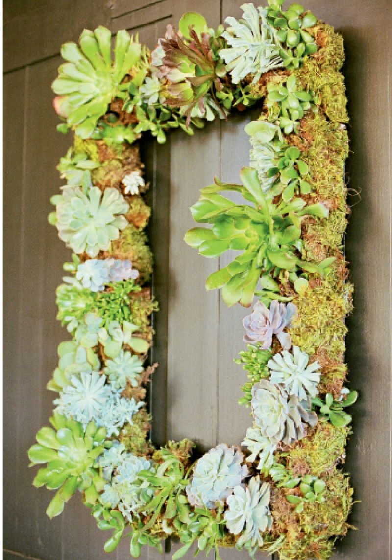 HANGING GARDEN: Blossoms Events adorned rectangular moss-covered frames with succulents and hung them on the clubhouse doors, adding color to the sedate chocolate-colored backdrop.