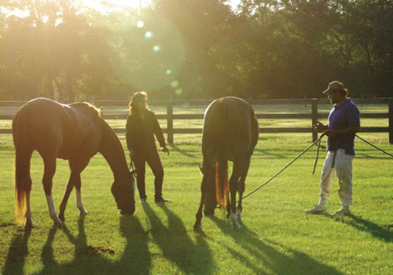 Polo matches bring out friends, family, and other spectators.