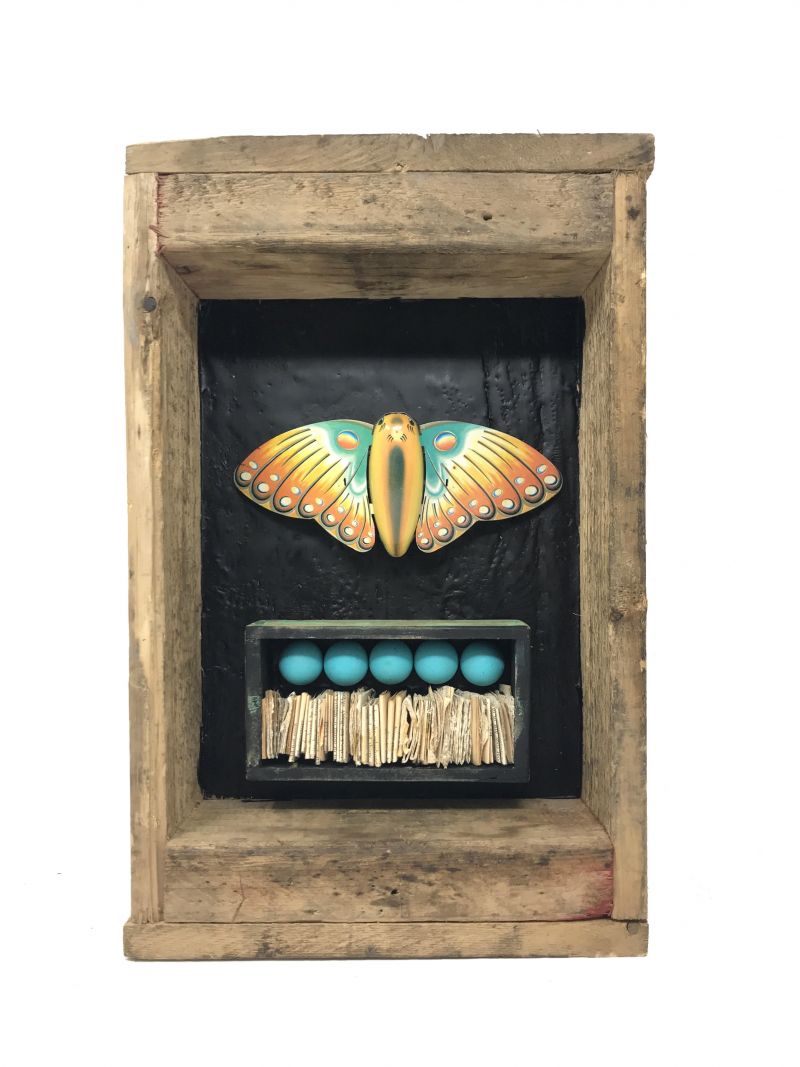 Butterfly Box #8 (assemblage, 16 by 10 inches, 2021)