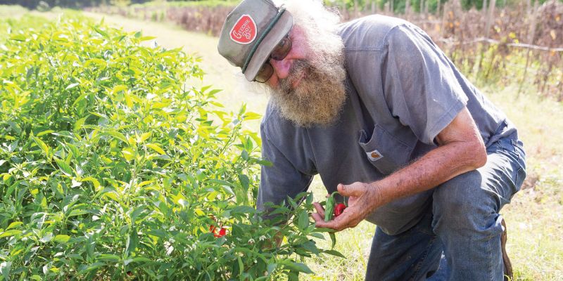 Charleston 101 Defining Moments That Shaped Our City Charleston Sc