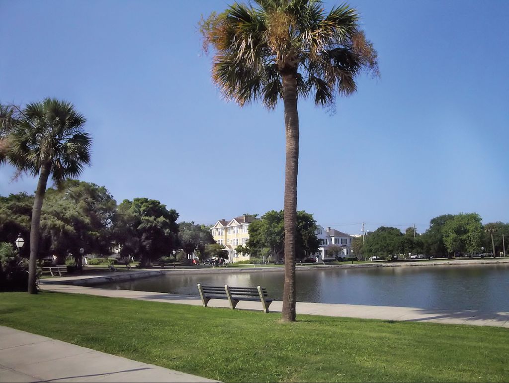 <strong>BEFORE</strong>: Colonial Lake was all trees and grass in 2014, two years prior to its transformation. 