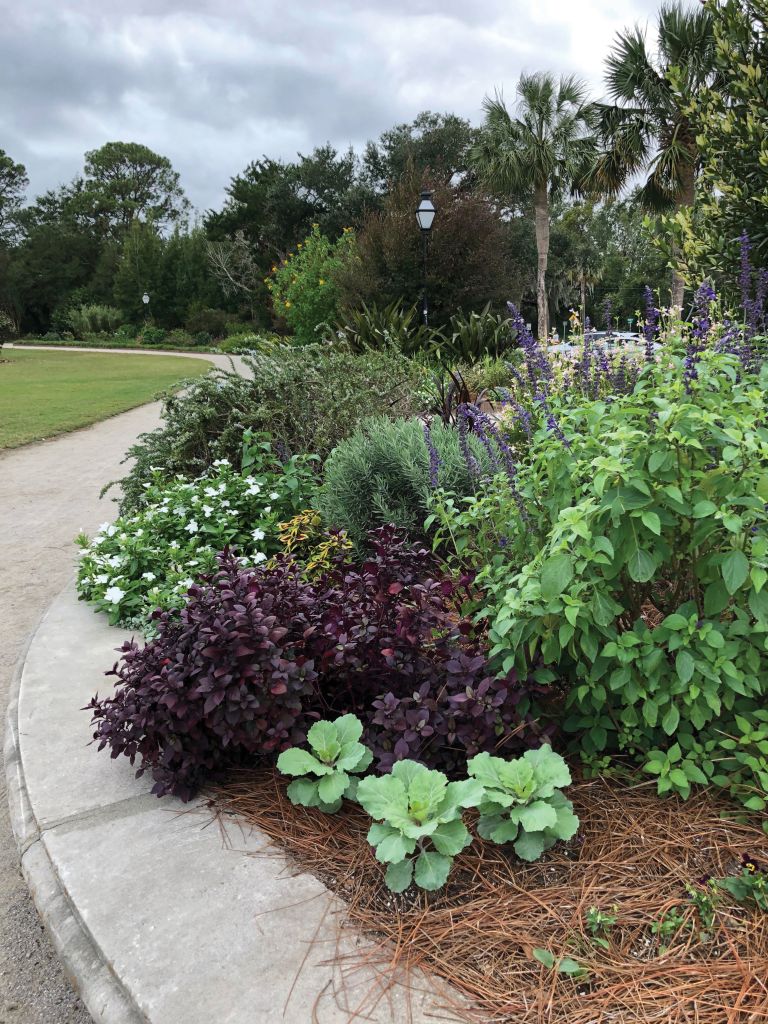 Beds around the duck pond overflow with tantalizing combinations. Here, ornamental cabbage, purple basil, salvia, lavender, and rosemary are electrified by white vinca and colorful coleus.