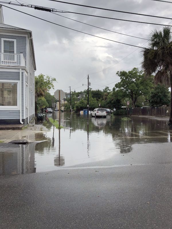 Water is Charleston’s ubiquitous element, our secret sauce and not-so secret threat. 