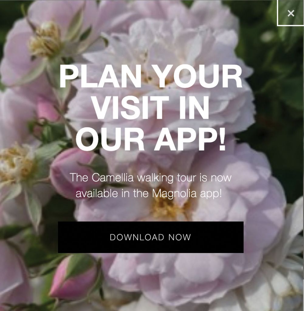 New plant content is constantly populating the app, which guests can use to explore the gardens and plan visits with friends.