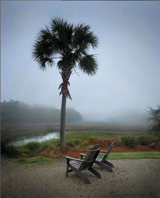 A foggy morning near Shem Creek.