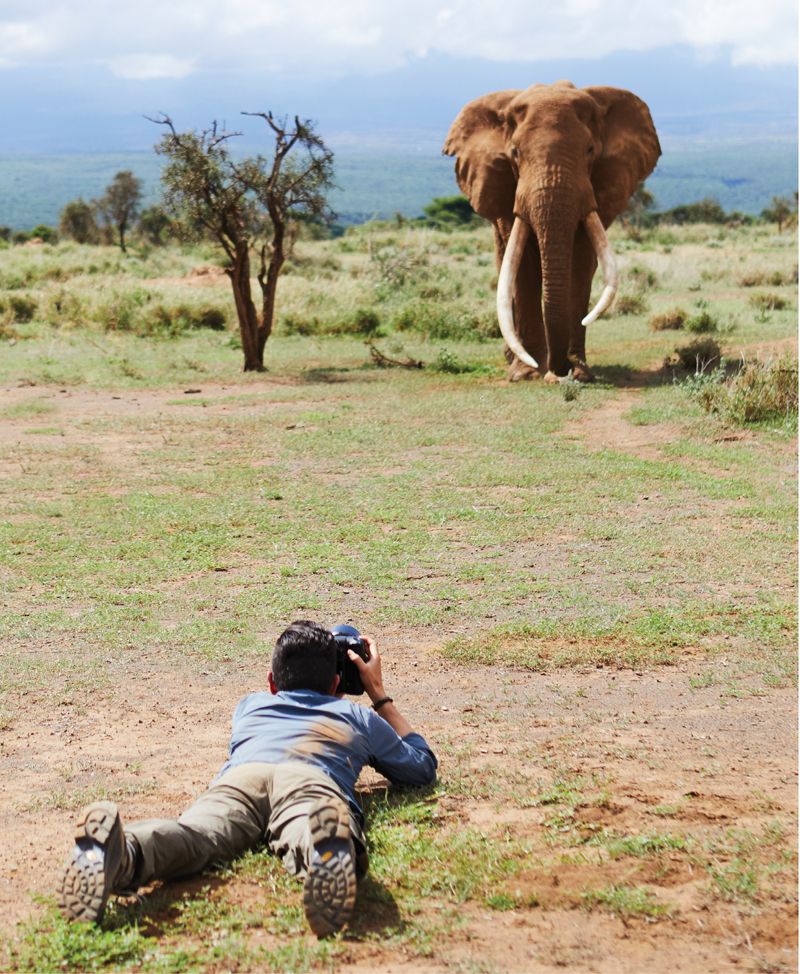 <em>The photographer goes to extraordinary lengths to document these endangered animals.</em>