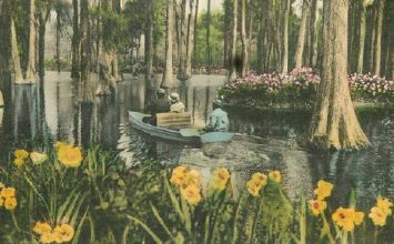 A postcard shows a mid-1900s Cypress Gardens.