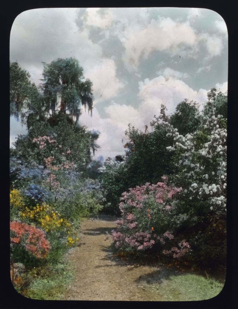 Magnolia in spring 1928, as captured by Frances Benjamin Johnston.