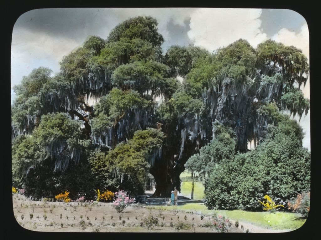 A spring 1928 photo by Frances Benjamin Johnston.