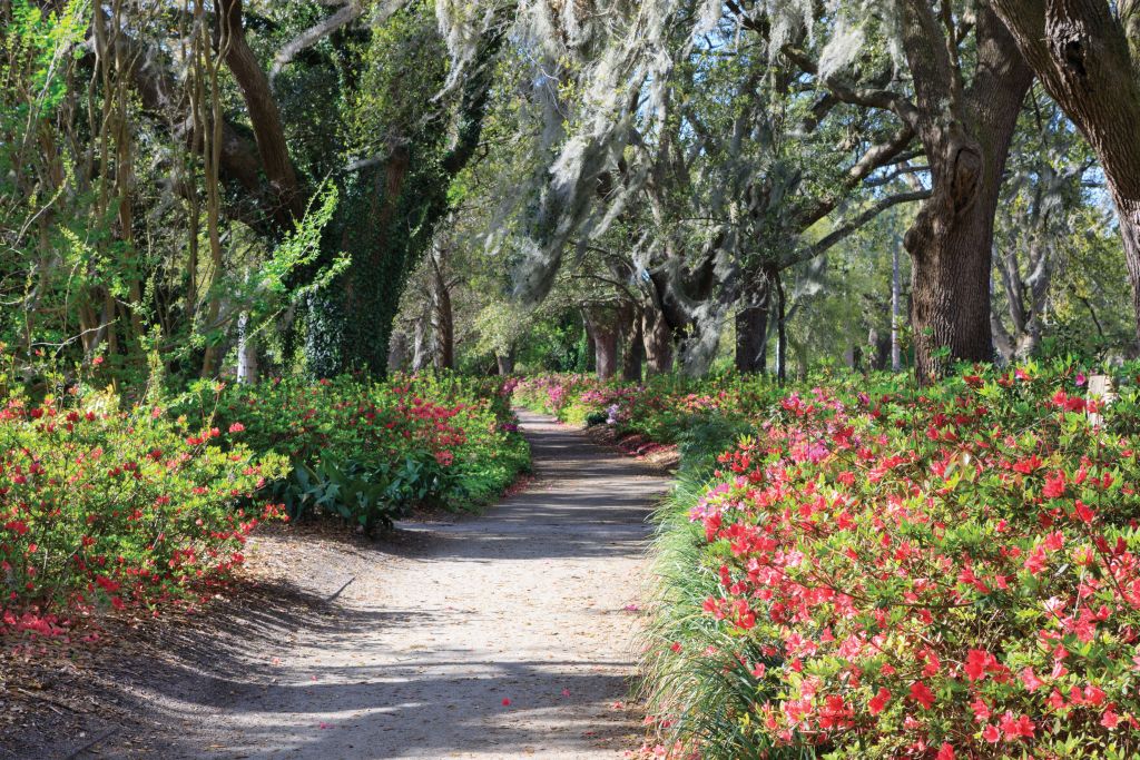 In springtime, azaleas light up the pathways that meander through this park, designed in 1903 by the New York-based firm Olmsted Brothers. 